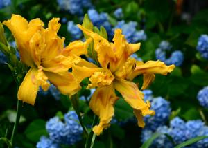 DSC_0799-Edit
